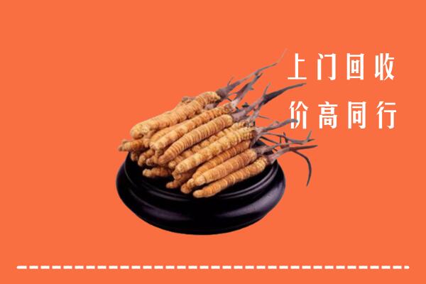 阳江回收冬虫夏草
